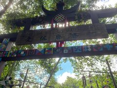 -西双版纳原始森林公园