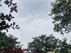 -国家植物园南园