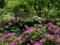 -杭州植物园