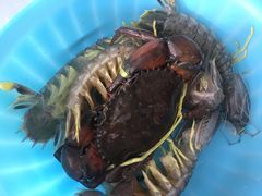 -拉威海鲜市场
