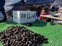 -蒲河大集