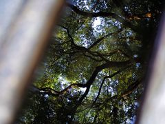 -白沙古井