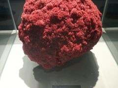 -泉城欧乐堡海洋极地世界