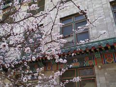 -北京协和医院(东单院区)
