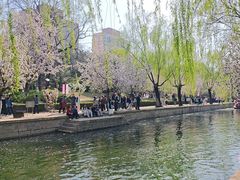 -元大都城垣遗址公园