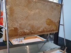 -金陵饭店 56F 家·海鲜火锅餐厅