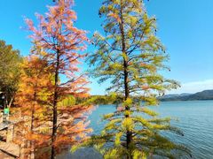 -天目湖山水园