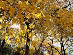 -元大都城垣遗址公园