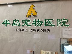 -半岛宠物医院24小时(科华中路店)