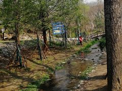 -白水寺森林公园