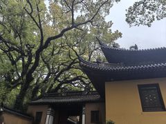 -普陀山风景名胜区-法雨禅寺