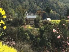 -石潭村