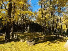 -阳台山自然风景区