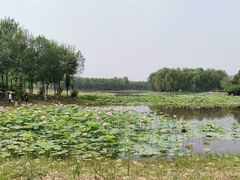 -东郊湿地公园