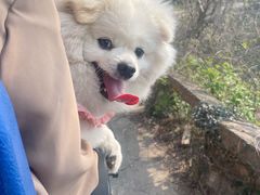 -木兰云雾山