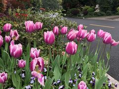 -浙江西子宾馆·瑶园咖啡厅