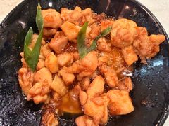 -丁老爷子苏香圆