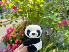 -萤火虫咖啡(后海店)