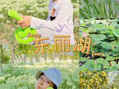 -天津东丽湖风景区