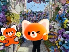 -南屏步行街