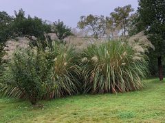 -盘龙城国家考古遗址公园