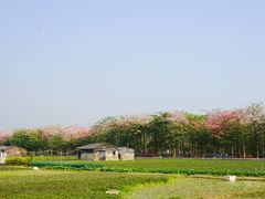 -低涌(地铁站)