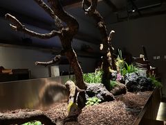 -曲廊院(东四十一条店)