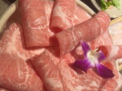 -小龙坎火锅(总店)