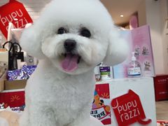 -帕帕拉兹宠物(亚洲旗舰店)