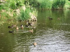 -前关湿地公园