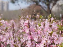 -白塘生态植物园