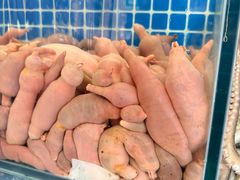 -松云居.大连人.大连菜