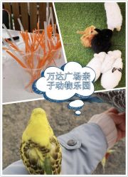 -萌宠亲子动物乐园(槐房万达店)