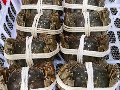 阳澄湖大闸蟹-丫丫蟹庄·苏式园林农家乐·阳澄湖大闸蟹(阳澄湖莲花岛店)