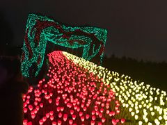 -长春公园(普阳街道)