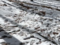 -硗碛藏寨·神木垒景区