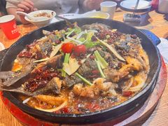 -老板恋上鱼(高新万达店)
