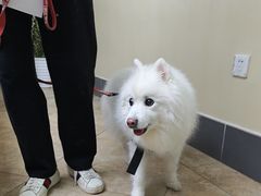 -美联众合动物医院·24h转诊中心