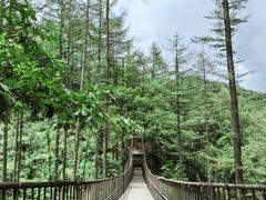 -龙峪湾国家森林公园
