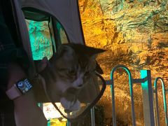 -开元溶洞