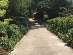 -森林公园(尖草坪区)