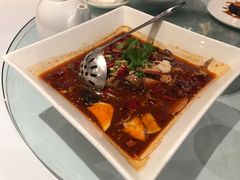 -苏浙汇(朝外店)