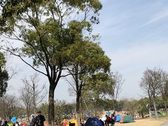 -吴淞炮台湾湿地森林公园烧烤区