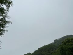 -东明山森林公园