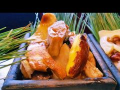 -木王宴语·野生鲜菌火锅(玉河店)