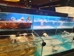 -苏格里岛自助海鲜烤肉火锅(集美万达店)
