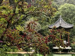 -云溪植物园