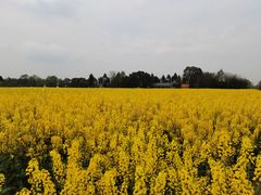 -中国天府农业博览园