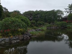 -顺峰山公园