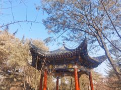 -金城公园